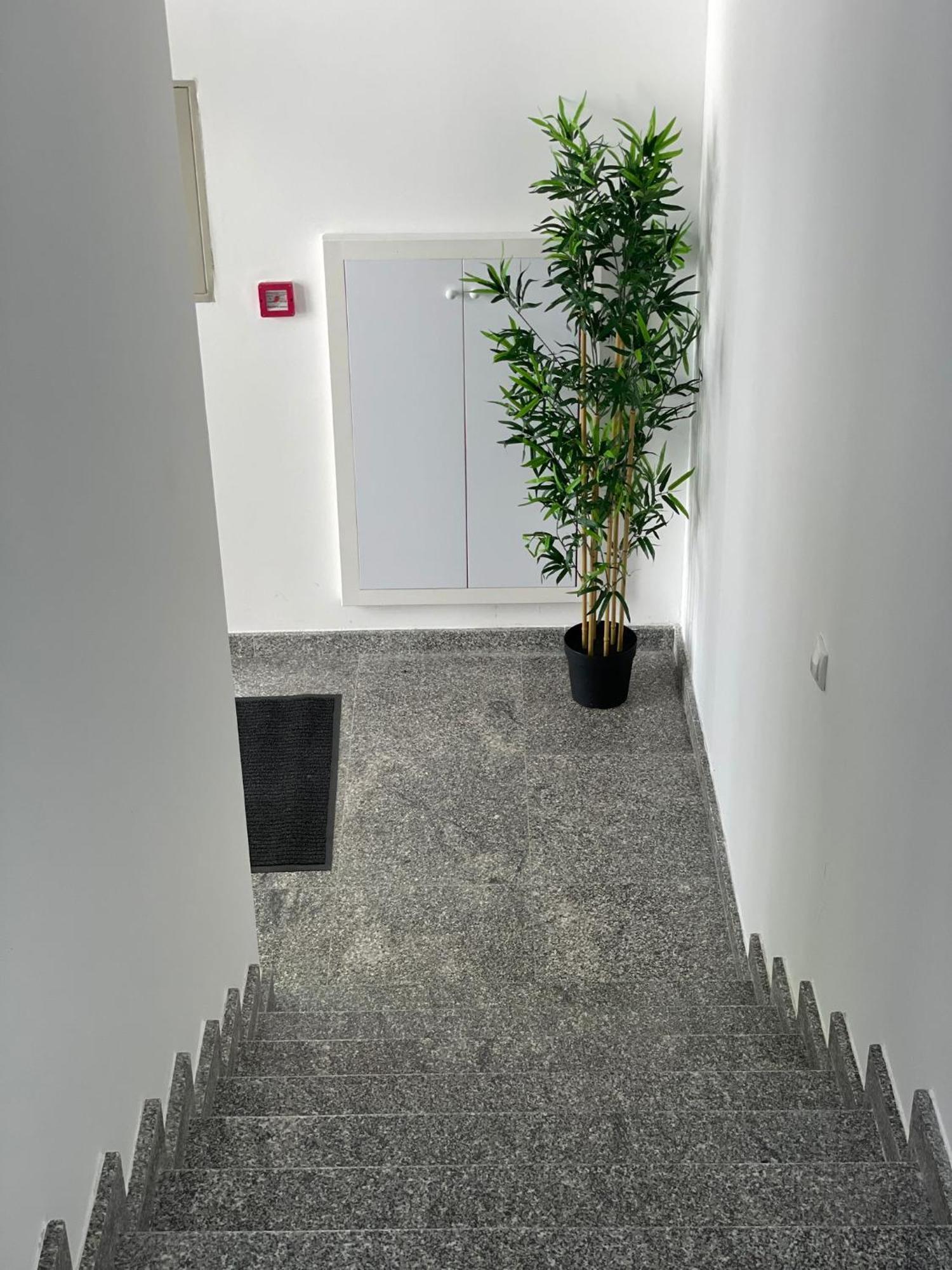 Morpheus Apartmani Sremska Mitrovica Extérieur photo